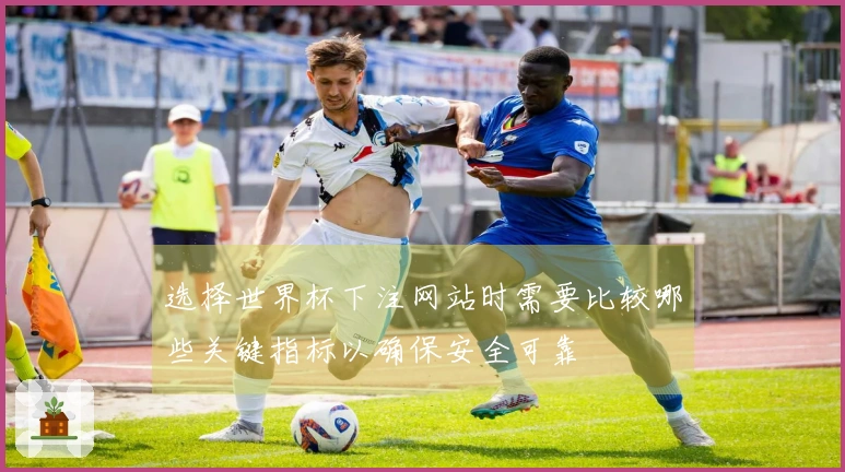 选择世界杯下注网站时需要比较哪些关键指标以确保安全可靠