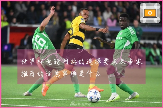 世界杯竞猜网站的选择要点及专家推荐的注意事项是什么