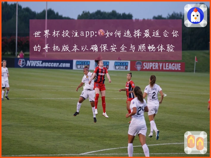 世界杯投注app：如何选择最适合你的手机版本以确保安全与顺畅体验