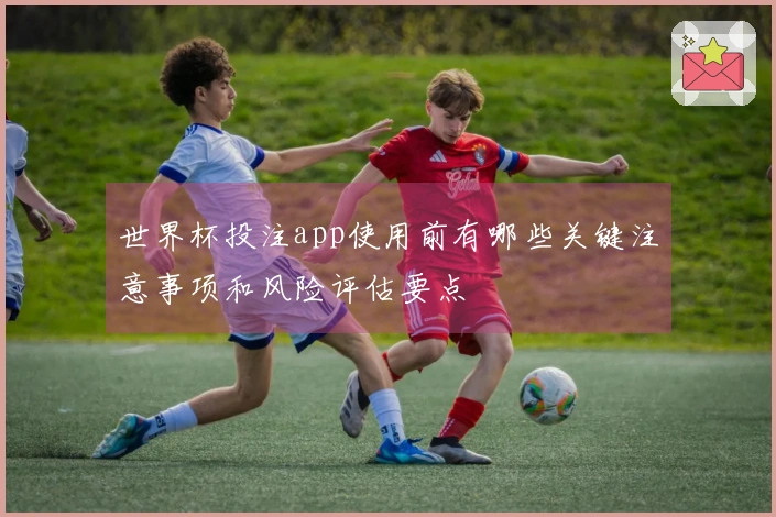 世界杯投注app使用前有哪些关键注意事项和风险评估要点