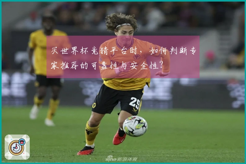 买世界杯竞猜平台时，如何判断专家推荐的可靠性与安全性？
