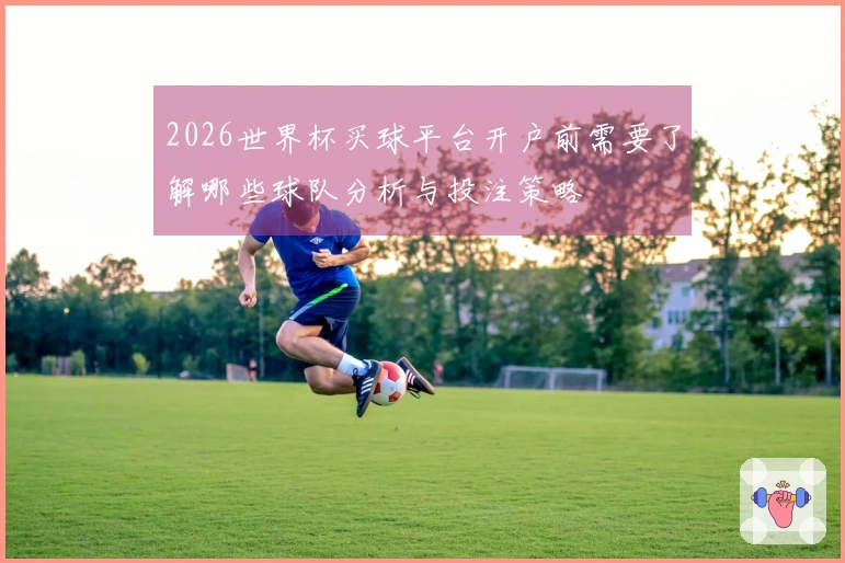 2026世界杯买球平台开户前需要了解哪些球队分析与投注策略