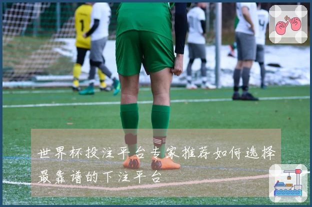 世界杯投注平台专家推荐如何选择最靠谱的下注平台