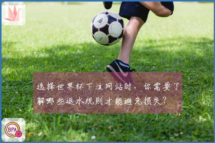 选择世界杯下注网站时，你需要了解哪些返水规则才能避免损失？
