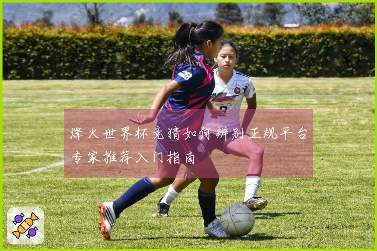 烽火世界杯竞猜如何辨别正规平台专家推荐入门指南