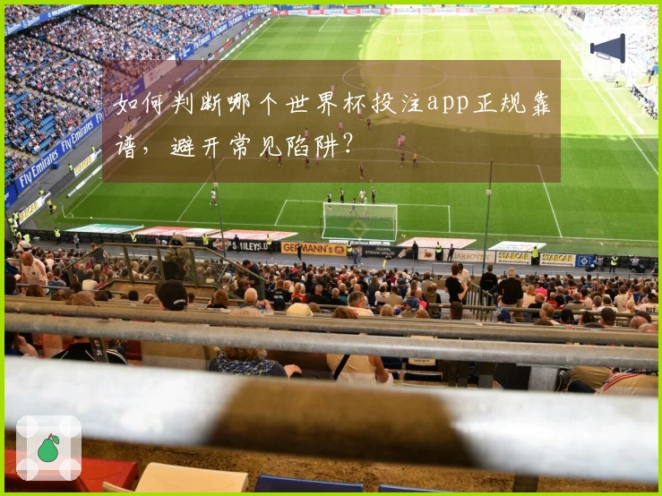 如何判断哪个世界杯投注app正规靠谱，避开常见陷阱？