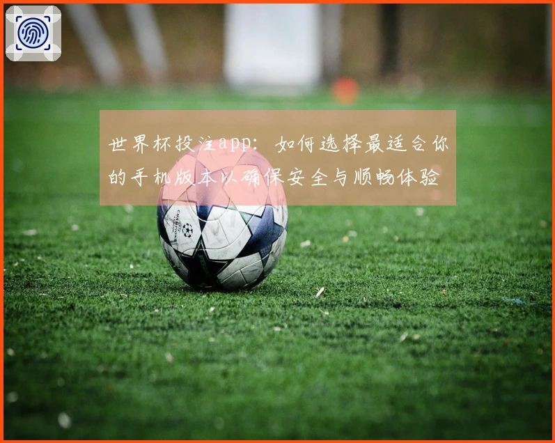 世界杯投注app：如何选择最适合你的手机版本以确保安全与顺畅体验