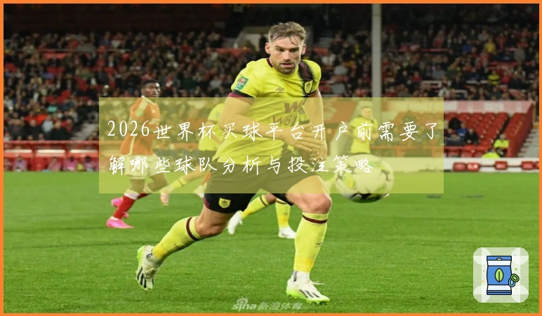 2026世界杯买球平台开户前需要了解哪些球队分析与投注策略