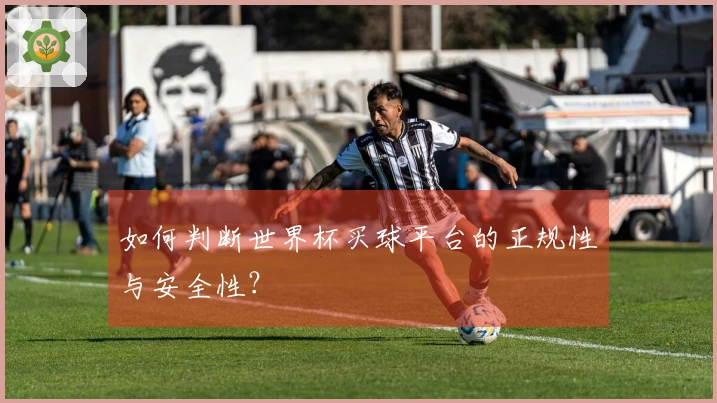 如何判断世界杯买球平台的正规性与安全性？