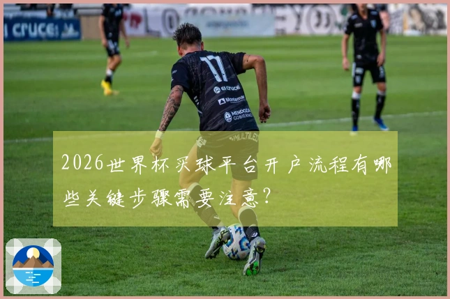 2026世界杯买球平台开户流程有哪些关键步骤需要注意？