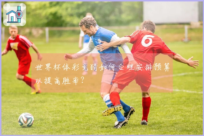 世界杯体彩竞猜如何合理安排预算以提高胜率？