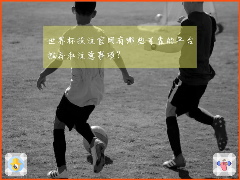 世界杯投注官网有哪些可靠的平台推荐和注意事项？