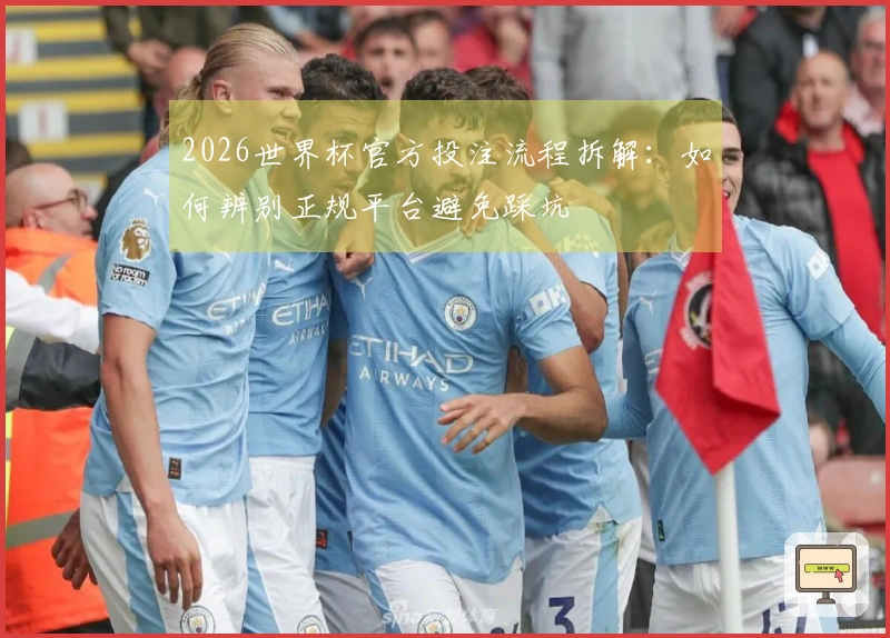 2026世界杯官方投注流程拆解：如何辨别正规平台避免踩坑