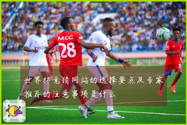 世界杯竞猜网站的选择要点及专家推荐的注意事项是什么