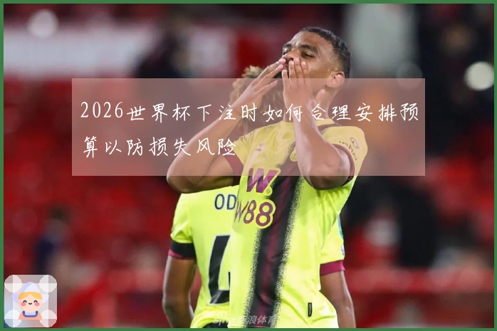 2026世界杯下注时如何合理安排预算以防损失风险