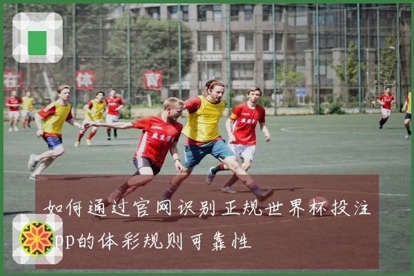 如何通过官网识别正规世界杯投注app的体彩规则可靠性