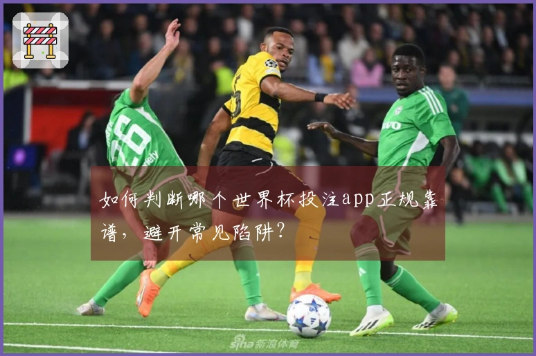 如何判断哪个世界杯投注app正规靠谱，避开常见陷阱？